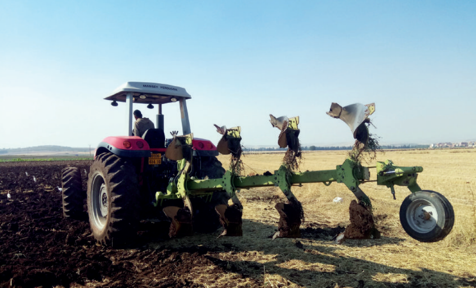 Campagne agricole : un démarrage sous de bons auspices